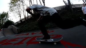 David Neier Skateland